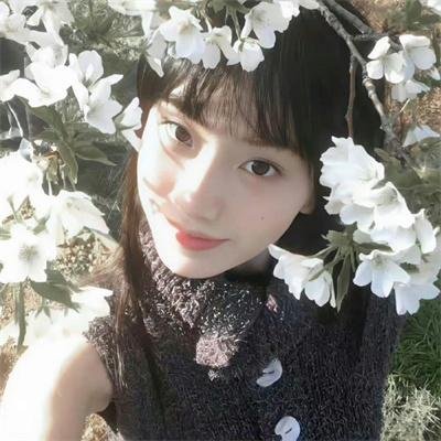 惊笑好莱坞